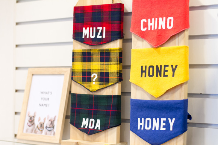 Oopsie Daisy Seoul | Vanillapup